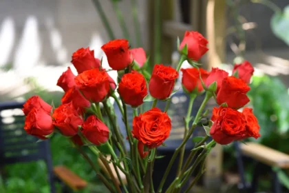 Same-Day Floral Delivery Works Best for Instant Plans