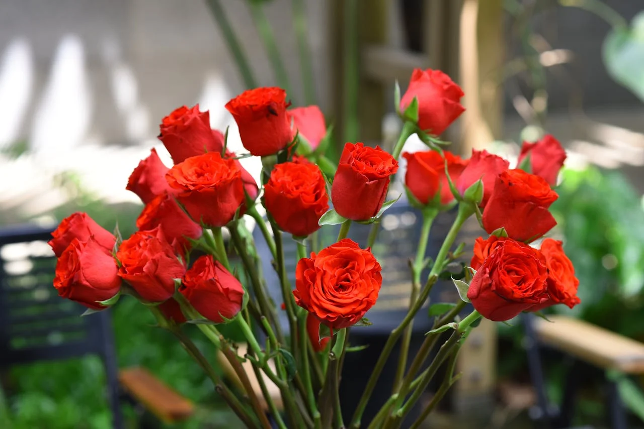 Same-Day Floral Delivery Works Best for Instant Plans